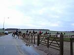 Newmarket_06_III_44_th.jpg 3.7K