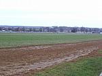 Newmarket_06_III_45_th.jpg 3.6K