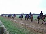 Newmarket_06_III_46_th.jpg 4.1K