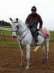 Newmarket_06_III_47_th.jpg 4.9K