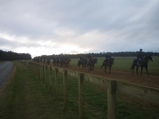 Newmarket_06_III_48.jpg 19.2K