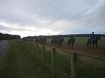 Newmarket_06_III_48_th.jpg 3.0K