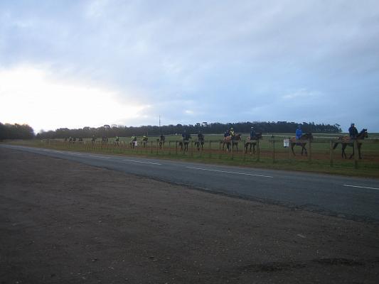 Newmarket_06_III_49.jpg 18.1K