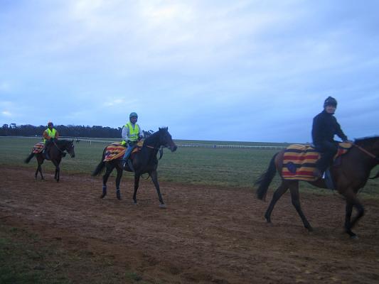 Newmarket_06_III_50.jpg 22.2K