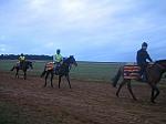 Newmarket_06_III_50_th.jpg 3.3K