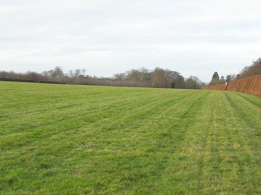 Newmarket_06_III_51.jpg 31.3K