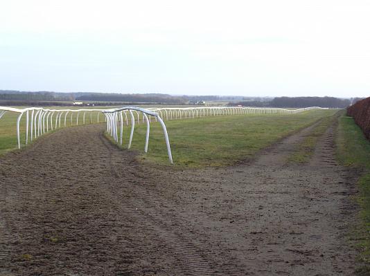 Newmarket_06_III_52.jpg 32.5K