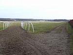 Newmarket_06_III_52_th.jpg 3.5K