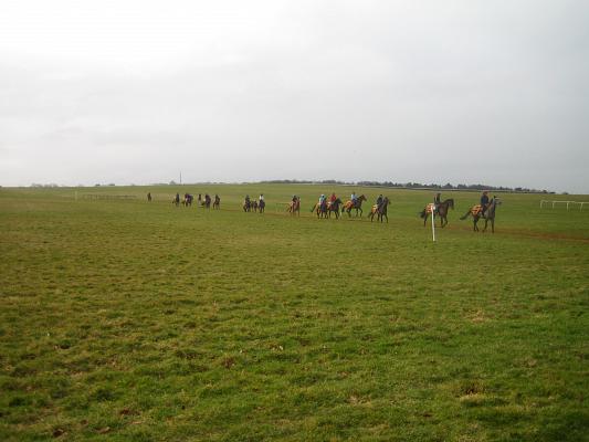 Newmarket_06_III_54.jpg 27.5K