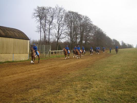 Newmarket_06_III_55.jpg 40.8K