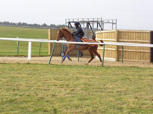 Newmarket_06_III_58.jpg 45.9K