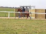 Newmarket_06_III_58_th.jpg 5.2K