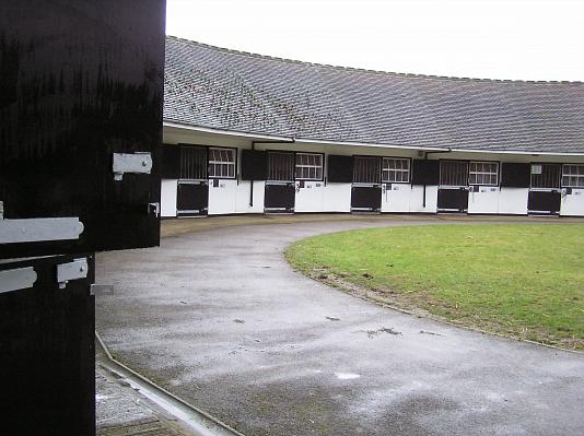 Newmarket_06_III_62.jpg 39.7K