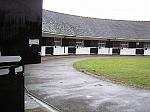 Newmarket_06_III_62_th.jpg 4.5K