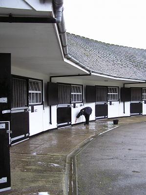 Newmarket_06_III_63.jpg 24.5K