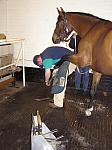 Newmarket_06_III_91_th.jpg 5.2K