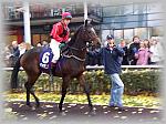 100_3837_th.jpg 6,9K