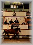 PA170025_th.jpg 5,6K