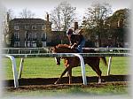 PA180047_th.jpg 6,2K