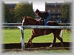 PA180049_th.jpg 5,5K