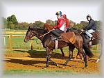 PA180060_th.jpg 5,8K