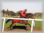PA200134_th.jpg 4,9K