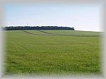 PA200137_th.jpg 3,3K