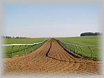 PA200138_th.jpg 3,8K