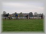PA220151_th.jpg 3,4K