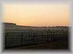 PA230209_th.jpg 2,8K