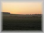 PA230210_th.jpg 2,6K