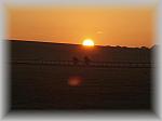PA230212_th.jpg 2,5K