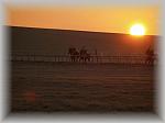 PA230218_th.jpg 2,8K