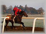 PA230227_th.jpg 4,6K
