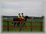 PA240252_th.jpg 3,5K