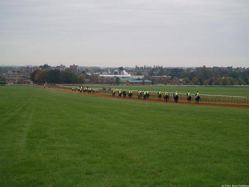 PA240253.jpg 50,3K
