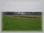 PA240253_th.jpg 2,9K