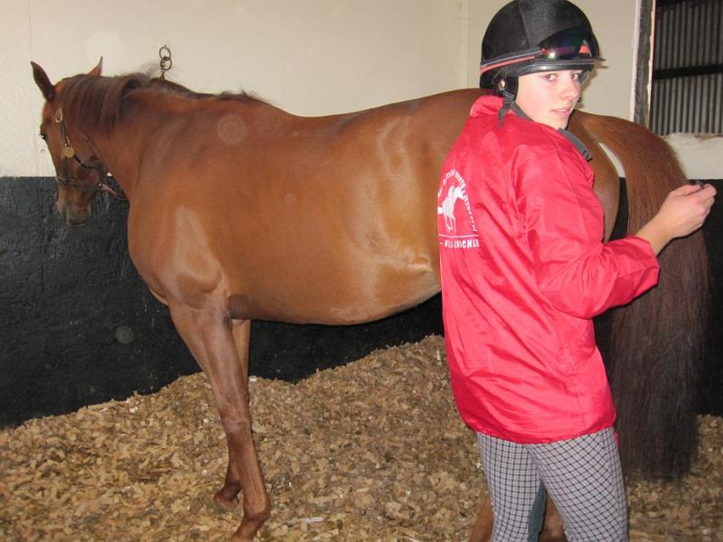 Newmarket_2009_003.jpg