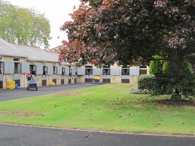 Newmarket_2009_011.jpg