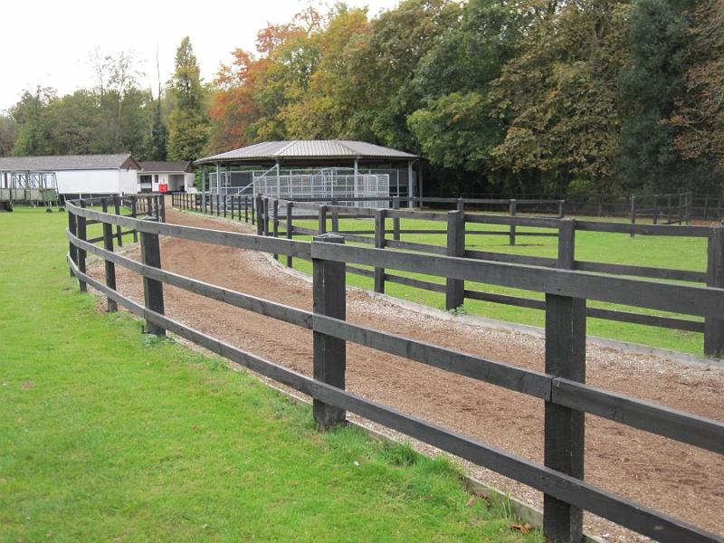 Newmarket_2009_013.jpg