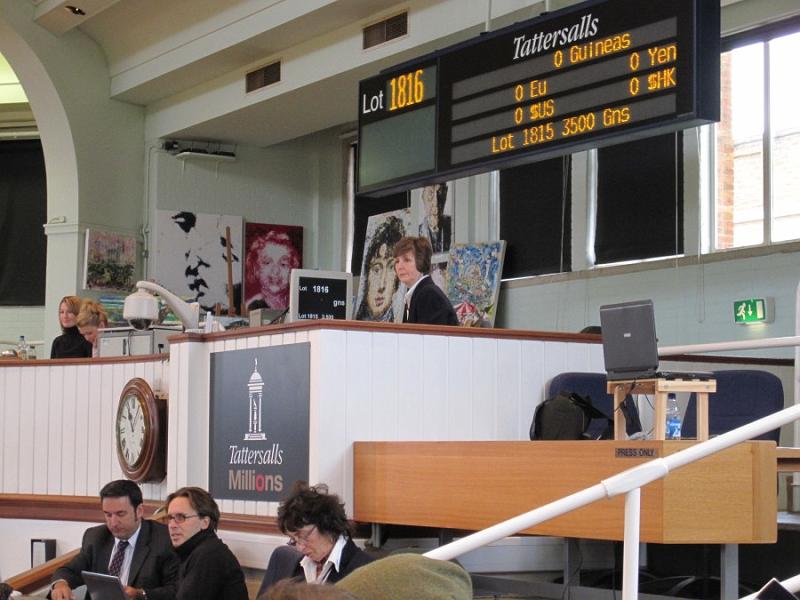 Newmarket_2009_018.jpg