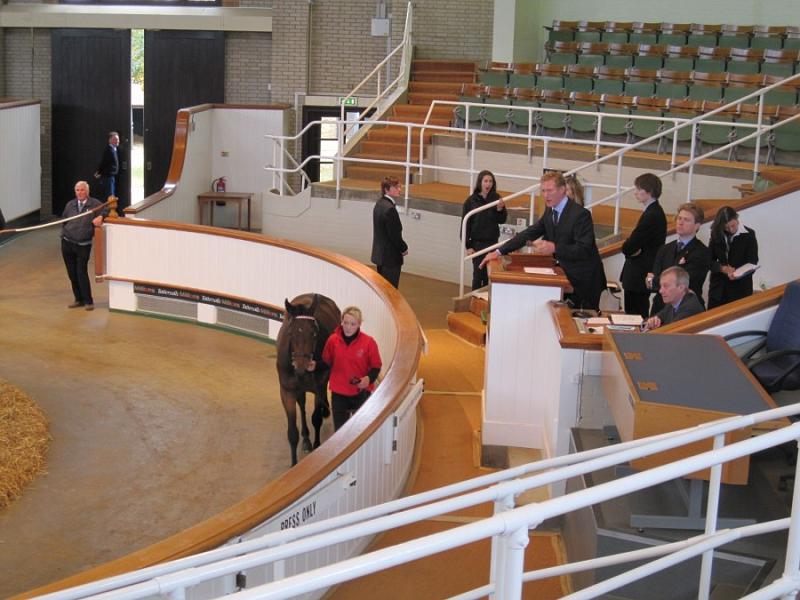 Newmarket_2009_019.jpg