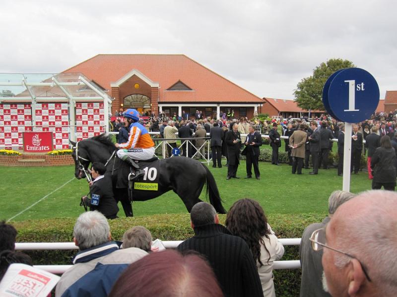 Newmarket_2009_041.jpg