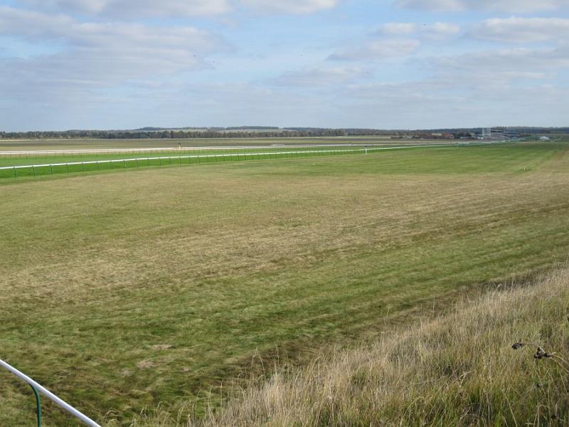 Newmarket_2009_048.jpg