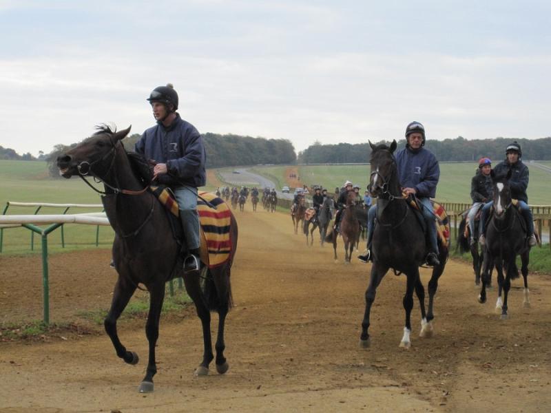 Newmarket_2009_056.jpg