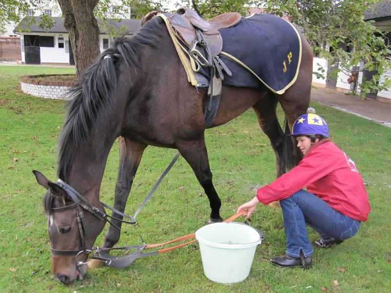 Newmarket_2009_060.jpg
