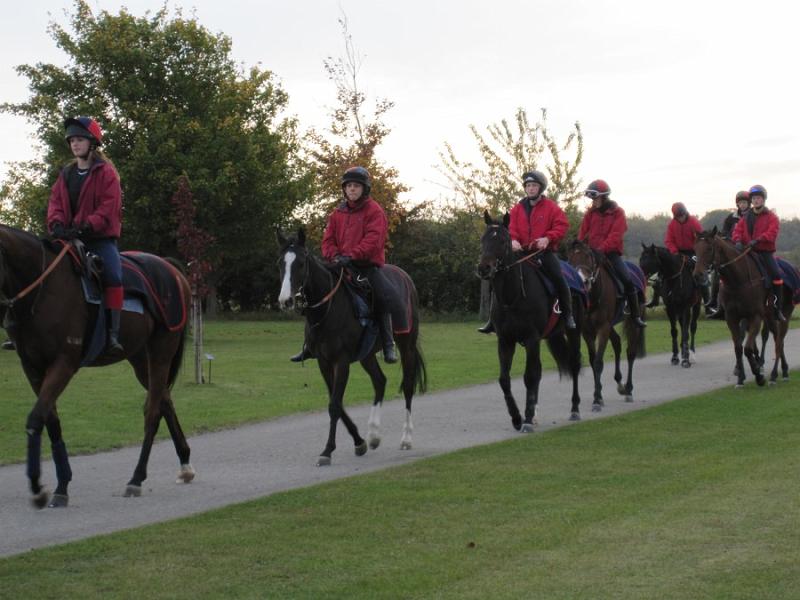 Newmarket_2009_065.jpg