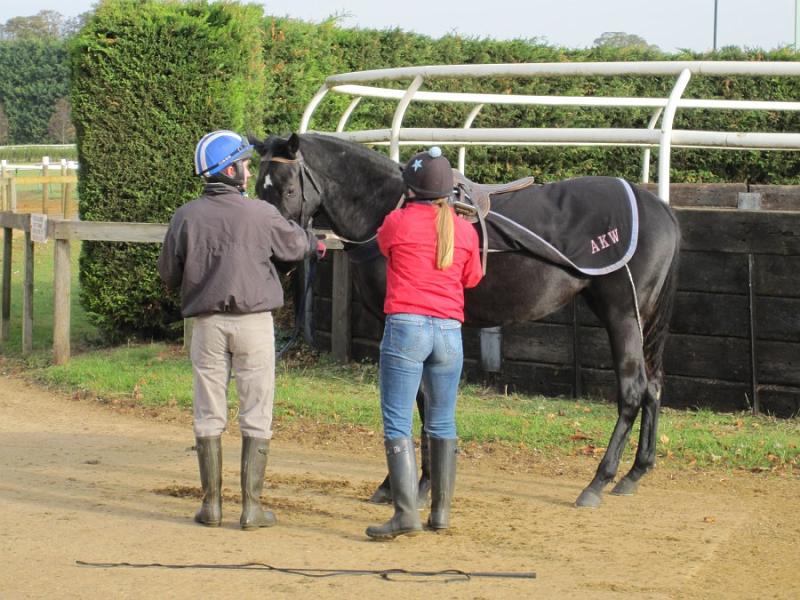 Newmarket_2009_070.jpg