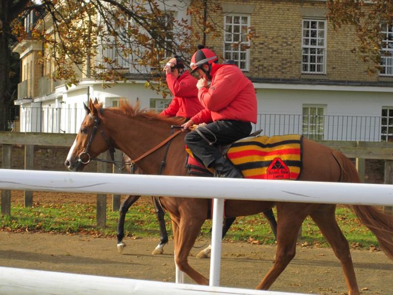 Newmarket_2009_071.jpg