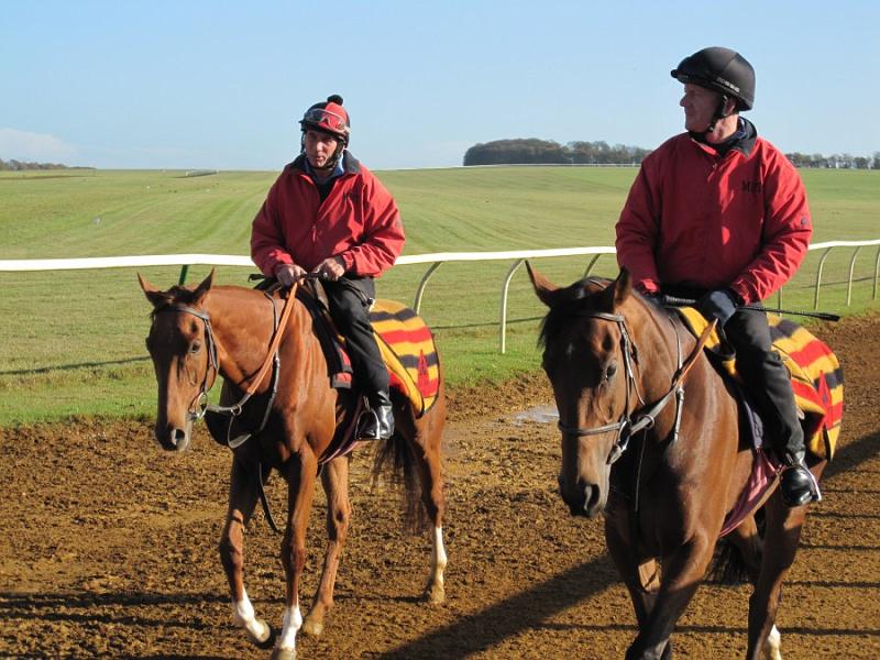 Newmarket_2009_084.jpg